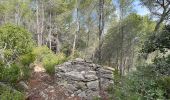 Trail Walking La Cadière-d'Azur - LA CADIERE  - Photo 1