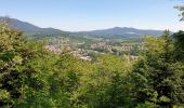 Tocht Stappen Villé - Le massif de la Honel - Photo 15