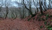 Trail Walking Chaudfontaine - chaudfontaine esplanade . vesdre . la brouck . lande du bois des dames . pont du diable . chaudfontaine - Photo 6