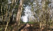 Trail Walking La Baume-Cornillane - La Raye (Circuit PR n° 143) - Photo 10