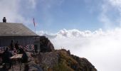 Trail On foot Schwyz - Mythenweg - fixme - Photo 6