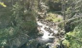 Randonnée Marche Cauterets - A/R la fruitière lac d'esthom  - Photo 4