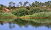 Trail Walking Le Cannet-des-Maures - Boucle autour du Lac des Escarcets - Photo 12