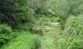 Tocht Te voet Castellar del Vallès - SL-C 65 Camí de les Arenes - Photo 6