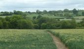 Excursión A pie North East Derbyshire - North Wingfield Walk - Photo 1