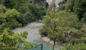 Trail Walking La Palud-sur-Verdon - les malines au point sublime - Photo 13