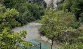 Randonnée Marche La Palud-sur-Verdon - les malines au point sublime - Photo 13