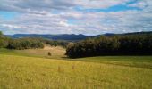 Trail Walking Marchaux-Chaudefontaine - Chaudfontaine 23-08-2020 - Photo 3