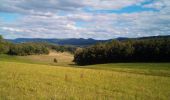 Tocht Stappen Marchaux-Chaudefontaine - Chaudfontaine 23-08-2020 - Photo 3