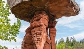 Tocht Te voet Hinterweidenthal - Hinterweidenthaler Teufelstisch-Tour - Photo 10