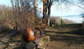 Tour Wandern Chantesse - vatilieu - Photo 9