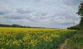 Trail Walking Remaucourt - Le tilloy - les sources de la somme - Photo 5