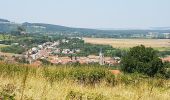 Trail Walking Leyr - LEYR - LE PLATEAU DE LA ROCHETTE - Photo 4