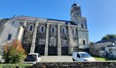 Tour Elektrofahrrad Chalonnes-sur-Loire - saumur - Photo 3