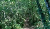 Trail Walking Peyzac-le-Moustier - Sensei24. Roque saint christophe  - Photo 9