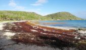 Excursión Senderismo Saint-François - anse à l'eau rando - Photo 4