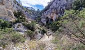Trail Walking Joucas - Gorges de Véroncle au départ de Joucas - Photo 14