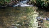 Trail Walking Saint-Derrien - St-Derrien randonnée vers Moulin de Lansolot - Photo 1