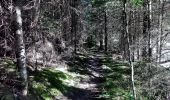 Trail On foot Pfalzgrafenweiler - Tour 3 Nordic Walking Weiler Wald - Photo 6