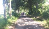 Trail Nordic walking Herve - Battice_Fort - Photo 18