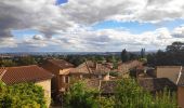 Tocht Stappen Saint-Cyr-au-Mont-d'Or - balade autour de St-Cyr - Photo 1