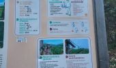 Trail Walking Mazamet - Mazamet : chemin de la passerelle  - Photo 4