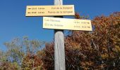 Tocht Stappen Apremont - col du Granier / pointe de la Gorgeat - Photo 14