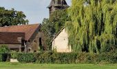 Tour Nordic Walking Conflans-sur-Loing - Conflans sur loing - Photo 11