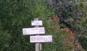 Randonnée Marche Montperreux - Sentier de la découverte - Chaon Malbuisson - Photo 2