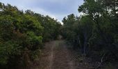 Trail Walking Hyères - N3 1er Borrels - Photo 6