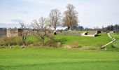 Percorso A piedi Seegräben - Seegräben - Pfäffikon - Photo 4