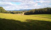 Trail Walking Marchaux-Chaudefontaine - Chaudfontaine 23-08-2020 - Photo 4