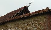 Tour Wandern Braives - hosdent reco 2024 - Photo 3