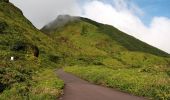 Excursión Senderismo Saint-Claude - La Soufrière - Photo 4