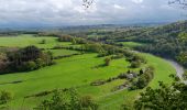 Tour Wandern Esneux - athénée . ham . ferme l'oneux . roche aux faucons . rosière . esneux  - Photo 11