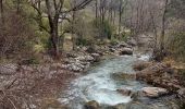 Randonnée Marche Braux - Chabrieres,Pelloussis,Argenton, Aurent, Col du Fa,Le Coulomp - Photo 7