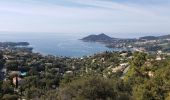 Tour Wandern Saint-Raphaël - Le drapeau - Photo 4