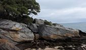 Trail Walking Noirmoutier-en-l'Île - Noirmoutier 12 juin 2019 - Photo 4