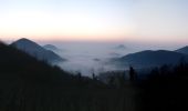 Randonnée A pied Teolo - Sentiero Naturalistico dei Colli Euganei Centrali - Photo 6