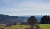 Trail Walking Meymac - Montagne du Cloup, les Farges - Photo 5