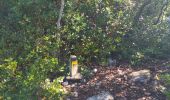 Tour Wandern Aspères - aspere - Photo 12