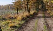 Tour Wandern Beerse - Blackheide  - Photo 2