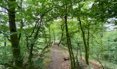 Tour Wandern Herbeumont - Tracé actuel: 17 JUIL 2020 09:10 - Photo 3