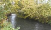 Tour Wandern Pont-Saint-Pierre - 20231024-Pont-St-Pierre - Photo 4