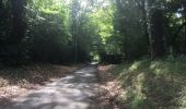 Trail Walking Saint-Paul-lès-Dax - 2022-08-22 RANDO EN PARTANT DU CAMPING DES ABESSES  - Photo 7