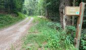 Trail Walking Plancher-les-Mines - 130722 - La planche des belles - au pieds du Ballons d’Alsaces - Photo 19
