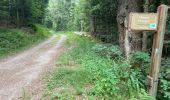 Randonnée Marche Plancher-les-Mines - 130722 - La planche des belles - au pieds du Ballons d’Alsaces - Photo 19