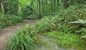 Trail Walking Saint-Laurent-sur-Mer - saint Laurent sur mer  - Photo 1