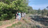 Tour Wandern Clansayes - Clansayes Plateau du Rouvergue 7km5 - Photo 5