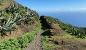 Percorso Marcia Valverde - Valverde - Garoé - Ventejis (El Hierro) - Photo 4